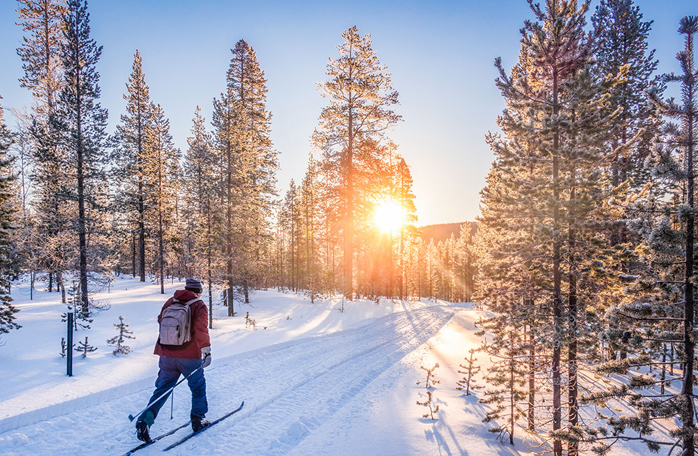 Man som åker skidor en vacker vinter dag då solen skiner